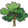 Logo Naturista